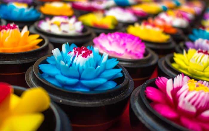 Chiang Rai things to do - Flowers