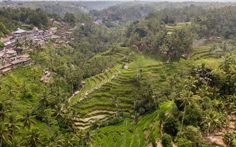 things to do in bali tegallalang rice paddies, visit ubud rice paddies