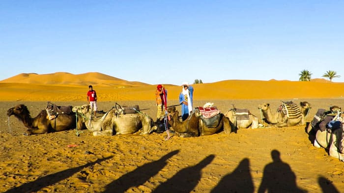 Riding Camels Morocco Desert Tour