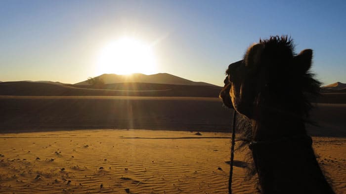 Riding Camels Morocco Desert Tour