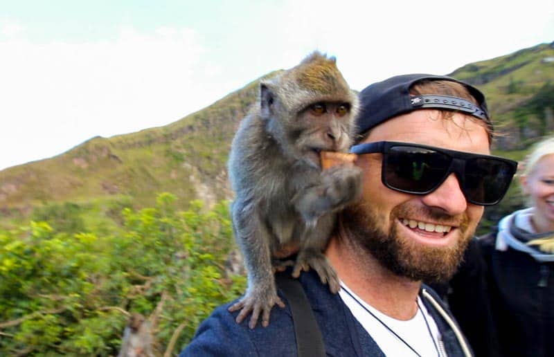 Bali Indonesia Mt Batur Volcano Monkey